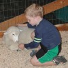 Tristan feeding lamb.JPG