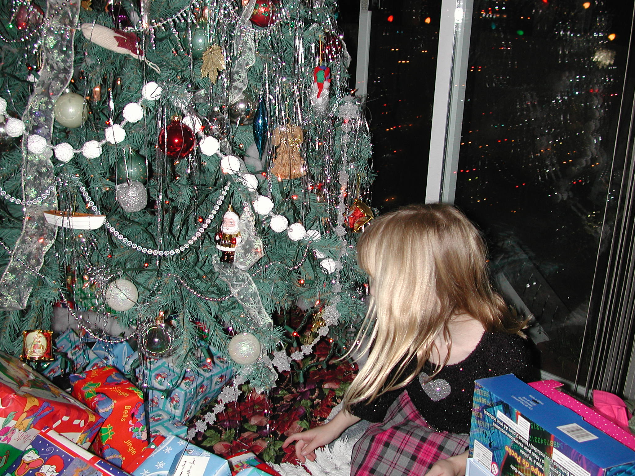 DSCN2877.JPG, 727647 bytes, 12/25/01